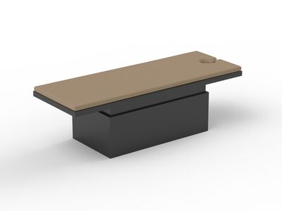 Massage Brown Fabric Bed 01 3D Model