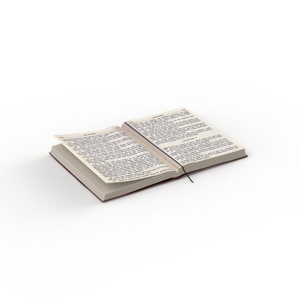 Opened Book 01 3D Model