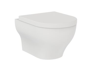 Clear Wall Hung WC Matt White