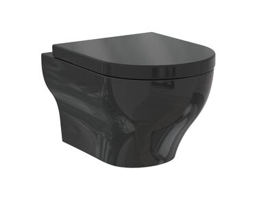 Clear Wall Hung WC Shiny Black