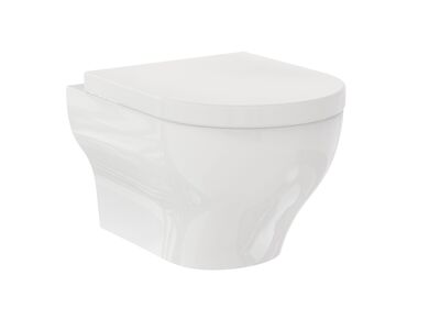 Clear Wall Hung WC Shiny White