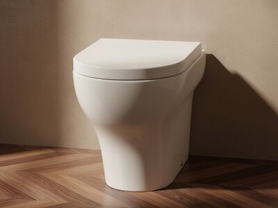 Clear WC 3D Model