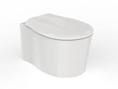 Formosa 2.0 Wall Hung WC 3D Model