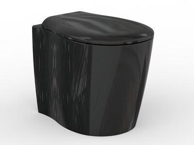 Formosa 2.0 WC d54 37 42 Shiny Black