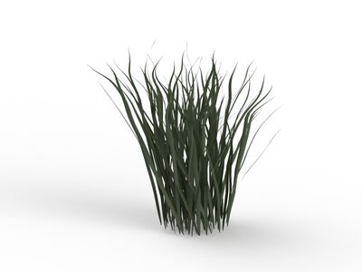 Grass Plant 02 3D Model