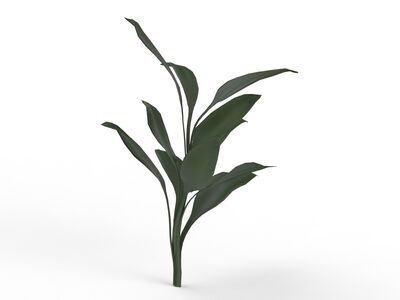 Grass Plant 03 3D Model