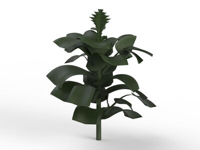 Green Plant 01 3D Model