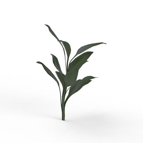 Grass Plant 03 3D Model