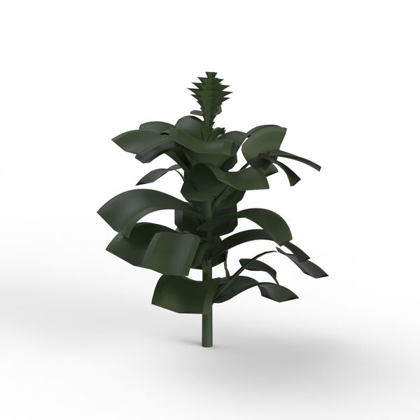 Green Plant 01 3D Model