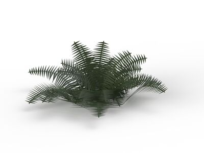 Plant 05