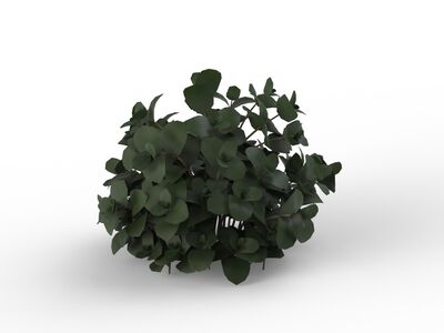 Plant 06