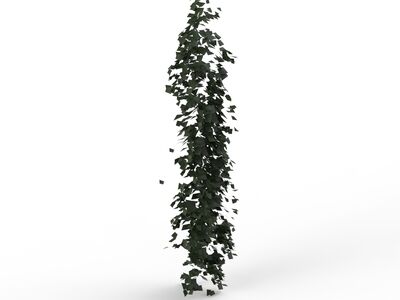 Plant climbing 01