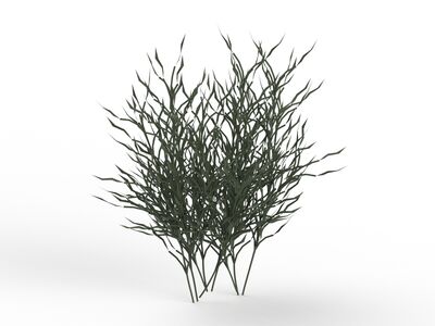 Grass Plant 04 3D Model