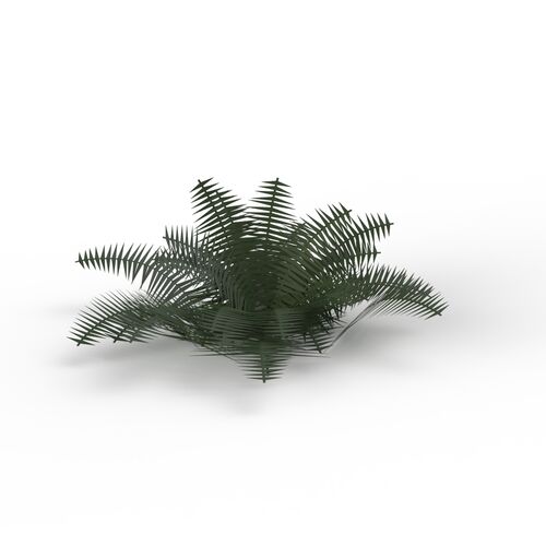 Grass Plant 05 3D Model