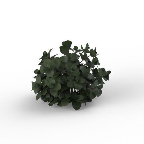 Green Plant 06 3D Model