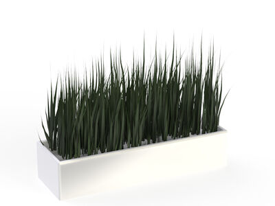 Pot and plant 16