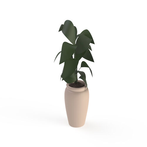 Ceramic And Plant Pot 13 3D Model