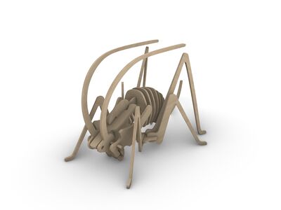 Grasshopper Plywood Toy rv