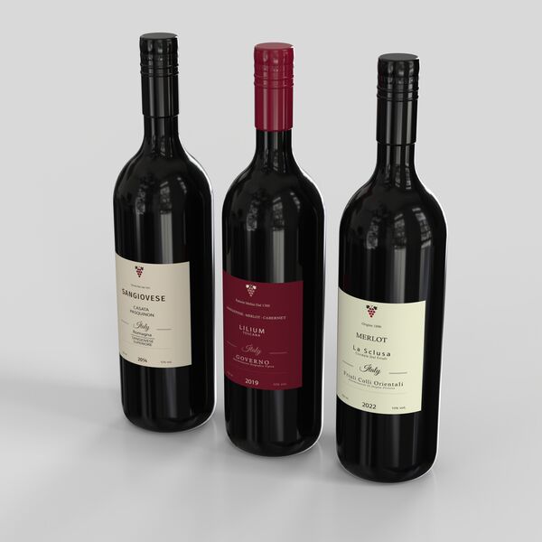 Wine Bottles 3D Model