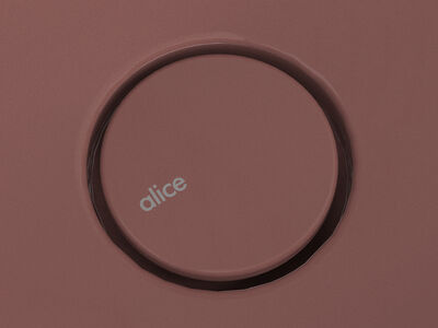 Detail of Alice Lunaris Structure 121 Drawer 3D model created in Rhino