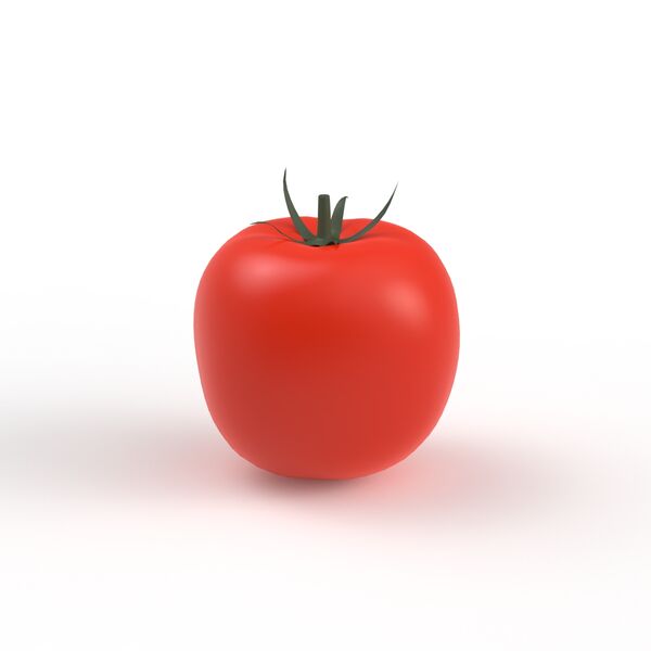 Red Tomato 01 3D Model