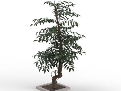 Leaves Dark Green Tree 07 3D Model