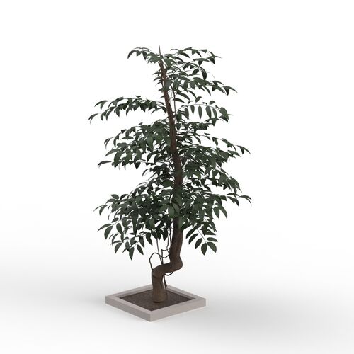 Leaves Dark Green Tree 07 3D Model