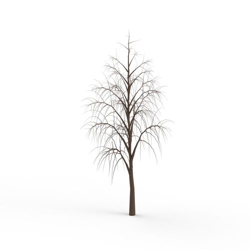Winter Tree 06 3D Model