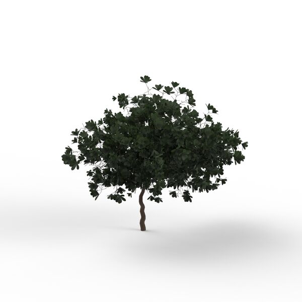 Leaves Dark Green Tree 01 3D Model