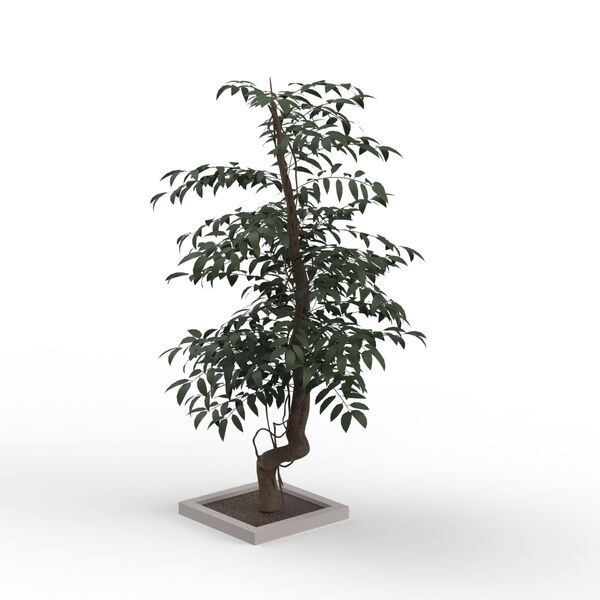 Leaves Dark Green Tree 07 3D Model
