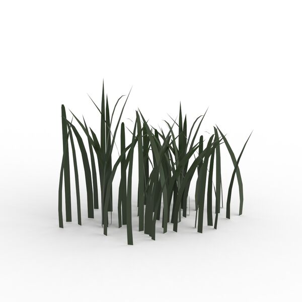 Grass 01 3D Model