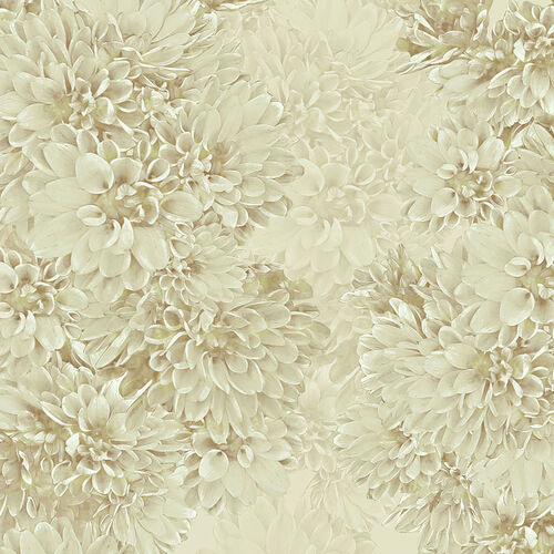Paperwall Dahlie 3D Model