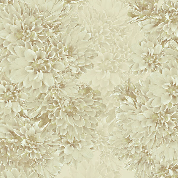 Paperwall Dahlie 3D Model - view 471, WallZad