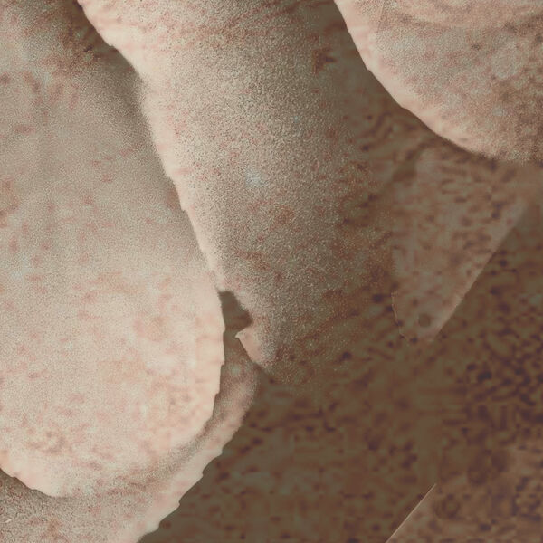 Paperwall Demy 3D Model - view 478, WallZad