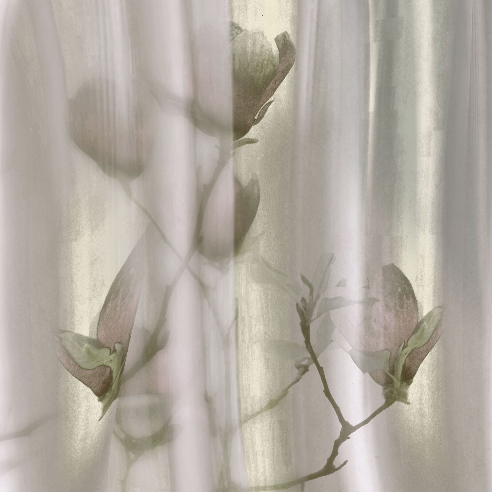 WallZad Paperwall Haray